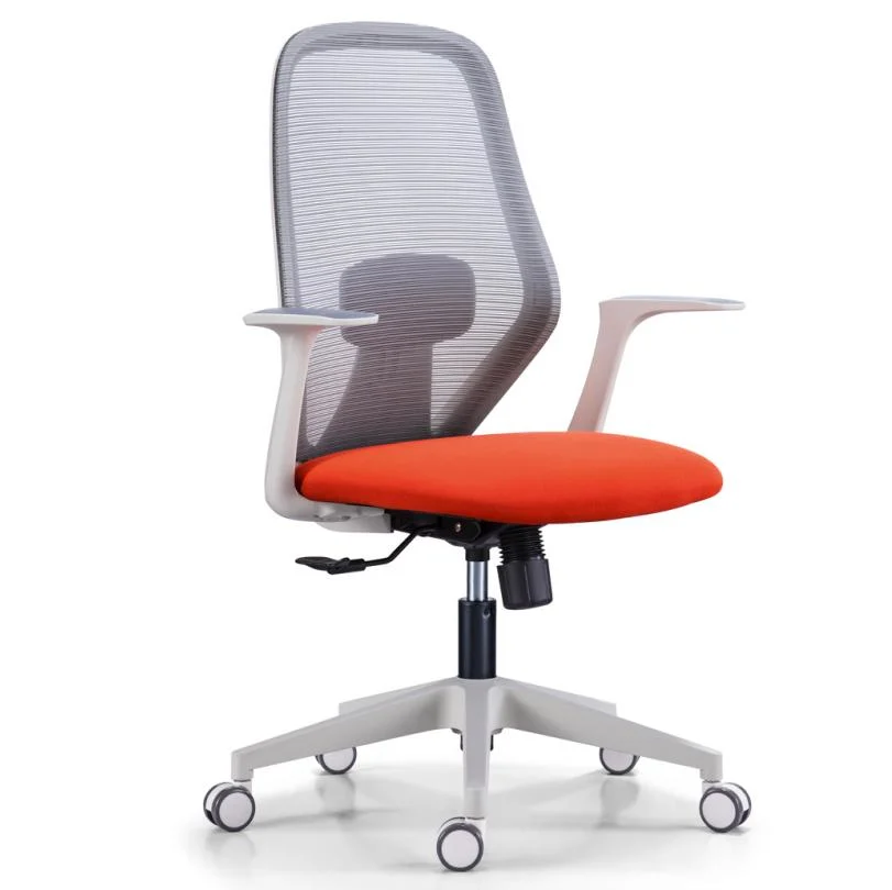 White Frame Middle Back Work Station Chair Modern Design New Clear Plastic Adjustable Chair Ergonomic Mesh Chair